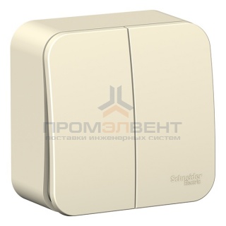 Выключатель 2-клавишный (cх.5) Blanca Schneider Electric 10А 250В молочный